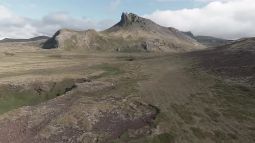 Person with dog hiking mountain trail, west Iceland, magical green scenery