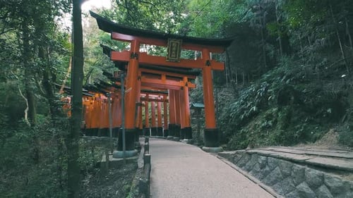 Torii Gates Pathway Through Forest in Kyoto, Japan