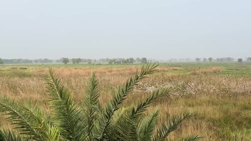 Blick aus einem Zug der Indian Railways