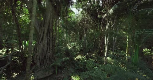 Forêt tropicale primitive aux racines massives et au feuillage luxuriant