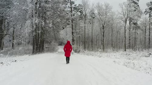 Girl In Red Coat Walking In Forest During Winter Season. - drone rear shot