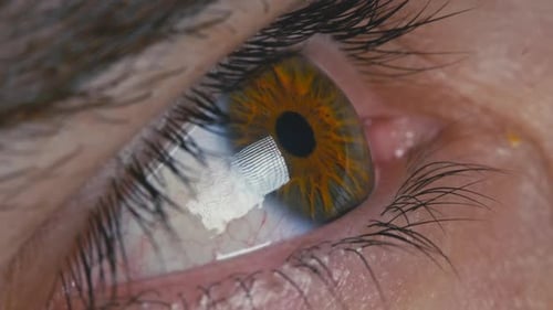 Hazel Eye Opening in Extreme Close Up