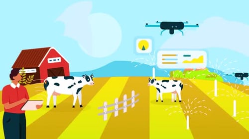 Farmer Using Drone For Farm 2