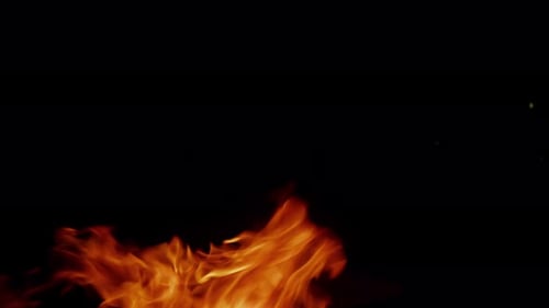 Burning Flames on Black Background in Close Up