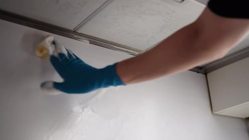 Lowangle View of Professional Cleaner in Blue Gloves Meticulously Scrubbing Kitchen Wall with Sponge