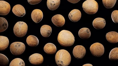 Seamless Loop of Rotating Coconuts on Black Background