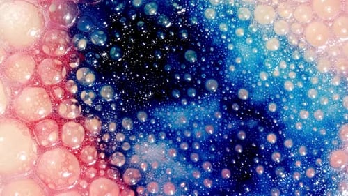 Abstract Macro View of Moving Bubbles and Cells