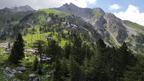 Beautiful epic rocks with scatterings of stones and coniferous trees. Mountains Komovi. Montenegro.