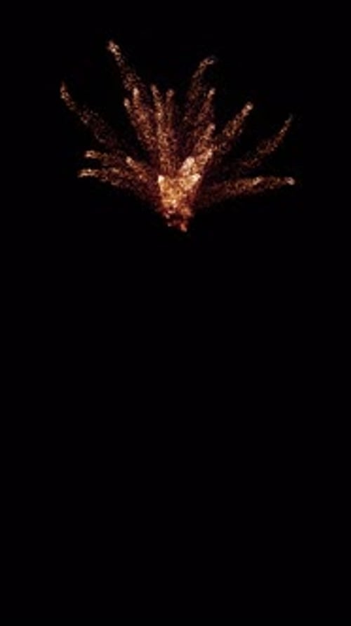 Golden Particle Burst Reveal Effect