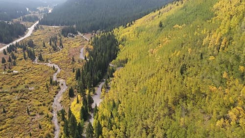 Aerial View, Yellow Aspen Forest on Sunny Autumn Day in Countryside of Colorado USA. Hillside in Fal