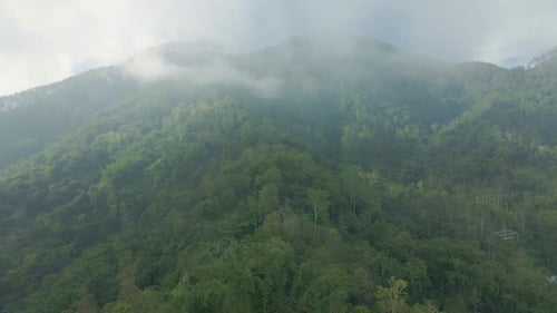 Aerial view of hazy mountain forest. Fly over mixed rainforest growth on the mountain in foggy morni