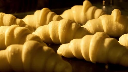 Uncooked Croissants Ready for the Oven