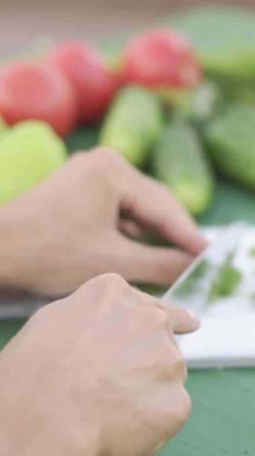 Zubereitung von frischen Produkten: Geschicktes Hacken einer Vielzahl von frischen Kräutern von Hand sowie einer Auswahl an