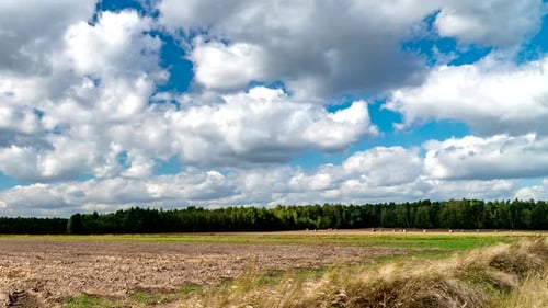 Picturesque Farmland Landscape Under a Blue Sky