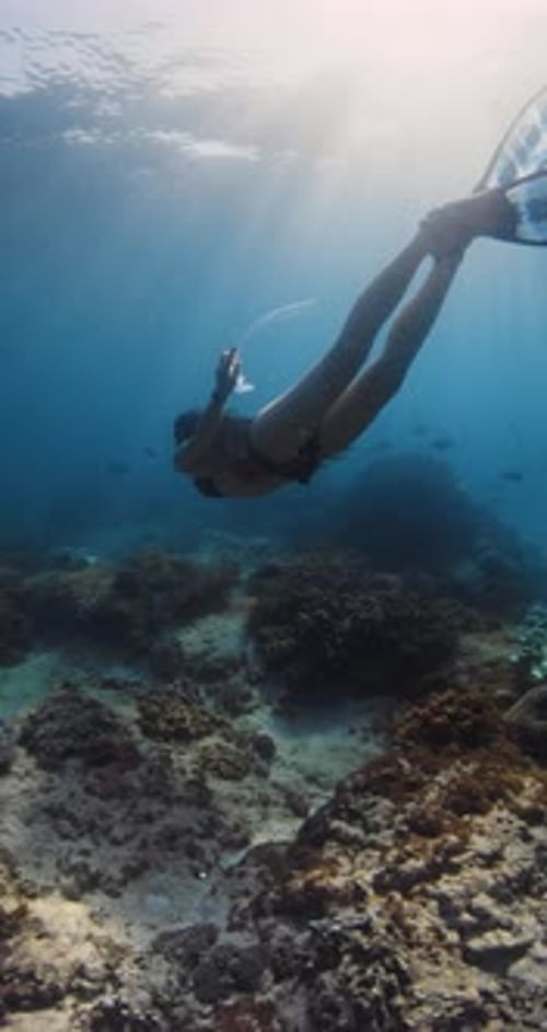 Freediving with Sporty Woman Freediver in Blue Ocean with Corals Slow Motion