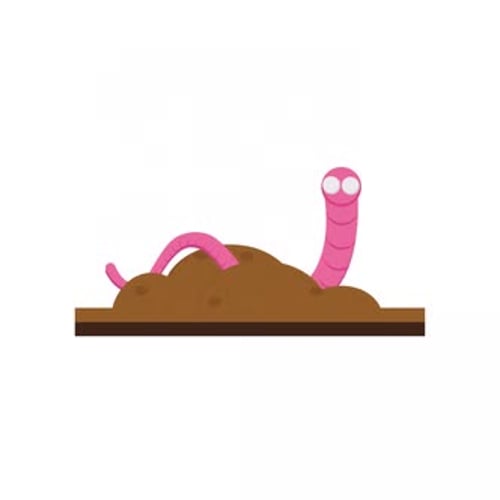 Animated Pink Worm Emerging from Soil in Flat Design Style