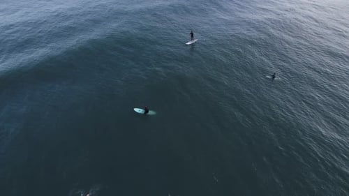 Drone flying above the sea, Two surfers waiting for waves and a standup paddle
