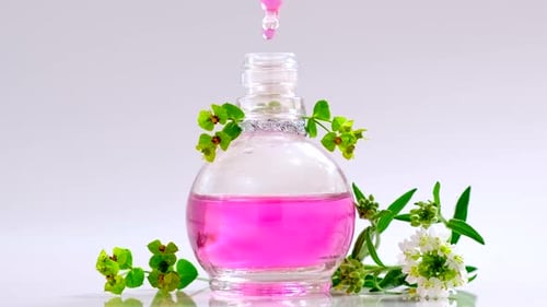 Pink Liquid in Glass Bottle with Plants