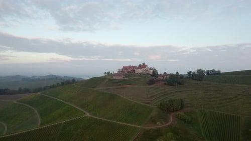 Reveal scenic vineyards with castle on top of hill