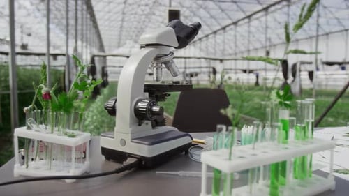 Microscope and Plant Samples on Workplace of Botanist in Greenhouse Lab