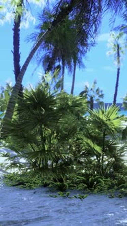Animated Tropical Beach with Swaying Palm Trees and Lush Foliage