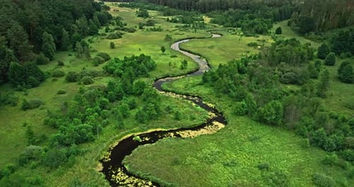 Winding river in swamps in summer, aerial view