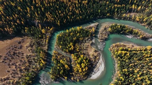 Meandering river in a scenic autumn mountain forest