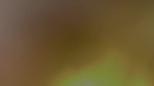 Smooth Abstract Color Gradient Background