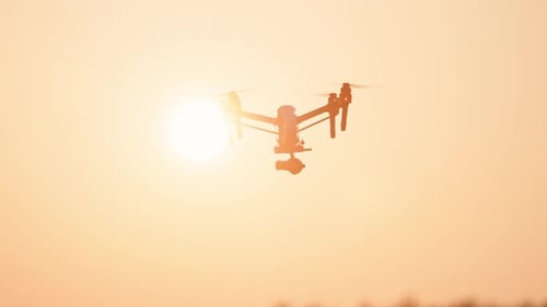 Smart Farming At Sunset Agricultural Drone Scanning and Monitoring Harvesting Farm Fields Outdoor