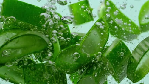 Aloe Vera Slices Falling into Clear Water