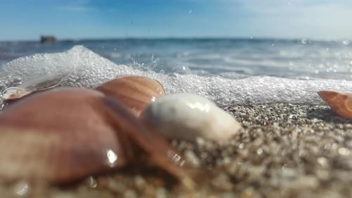Slow Motion Footage of Sea Splashing on Shells and Pebbles