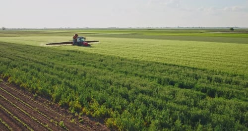 Drone aerial shot of a farmer spraying green wheat field