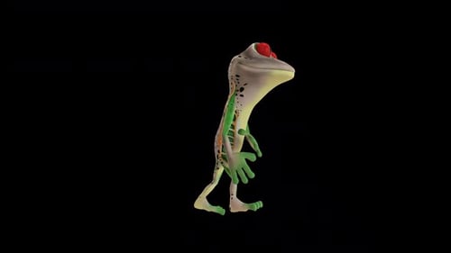 Frog Drunk Walk