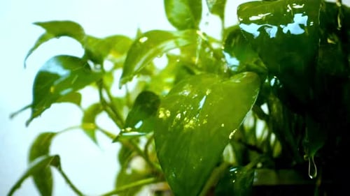 Fallender Wassertropfen