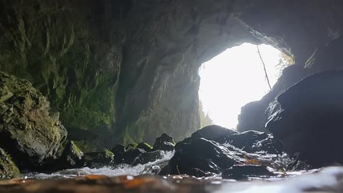 Tkalca Cave: Stunning low angle shot of a clear mountain river flowing out of a dark cave into the