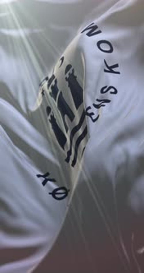 Fluid White Fabric Waving with Corporate Logo Animation