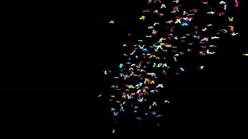 Colorful Flying Butterflies Swarm Alpha Channel Animation