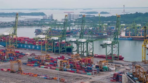 Activités d'importation et d'exportation