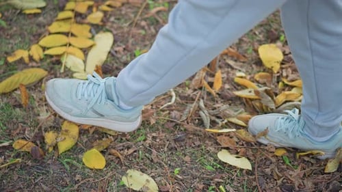 Legs Walking Slowly on Dirt Path Covered with Autumn Leaves