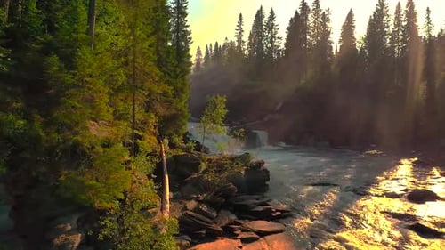 River Flowing Through Forest at Sunrise