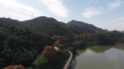 Autumn forest