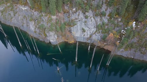 Aerial View of Submerged Trees in Tranquil Water Camera Pans Across Scene