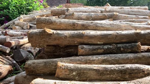 Teak logs