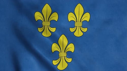 Golden Fleur-de-lis Symbols Waving Flag Loop