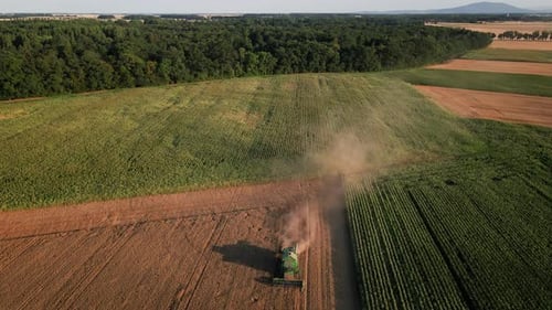 Luftbild des Erntemähdreschers bei der Arbeit im landwirtschaftlichen Bereich