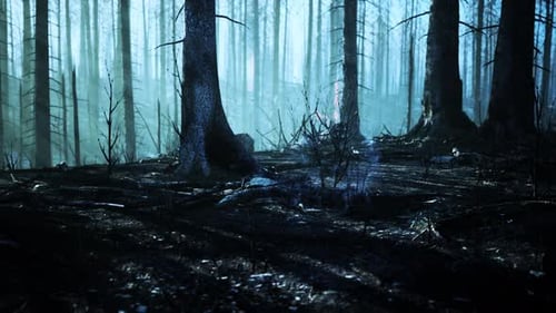 Forest Fire and Fallen Tree is Burned to the Ground with a Lot of Smoke