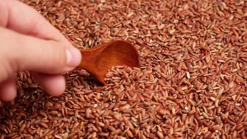 Wooden Spoon Picks Up Dry Red Rice Long Brown Rice Close Up Grains Fall Poured a Stack World Crisis