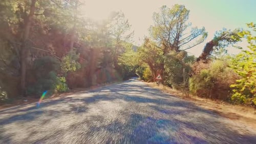 Firstperson Pov View of Walk or Drive Through Forest Through Park and Asphalt Road Sunlight Falls