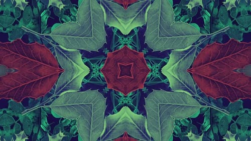Abstract Nature Kaleidoscope Loop Background