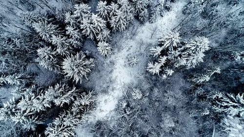 erial drone bird's eye shot over a beautiful snow covered forest in the stunning countryside during